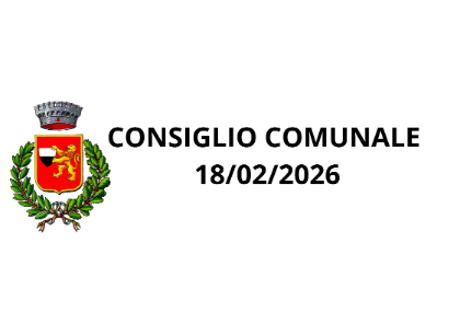 CONSIGLIO COMUNALE