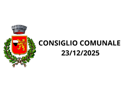 CONSIGLIO COMUNALE
