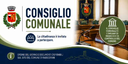CONSIGLIO COMUNALE 30/07/2026