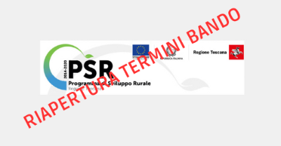 RIAPERTURA TERMINI BANDO