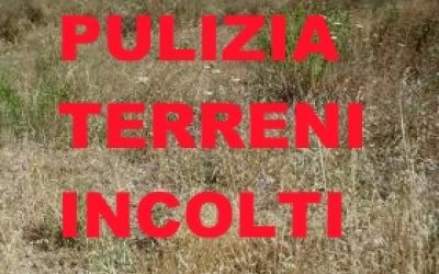 PULIZIA TERRENI ERBOSI O INCOLTI ALL’INTERNO E/O NEI PRESSI DEI CENTRI ABITATI DEL TERRITORIO COMUNALE