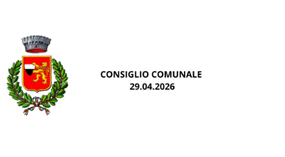 Aggiungi un sottotitolo (6)