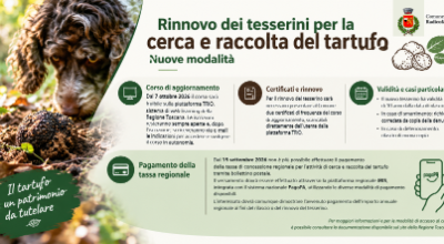 Progetto senza titolo (24)