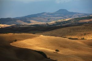 radicofani in val d'orcia